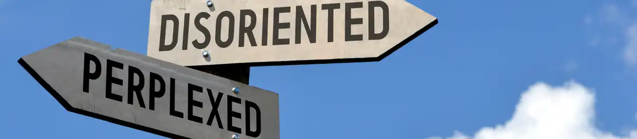 Signs at a crossroad saying "disoriented" and "perplexed"