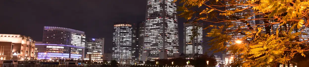 yokohama, japan, at night